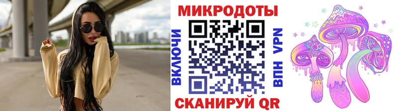 Галлюциногенные грибы Psilocybine cubensis  Карасук 